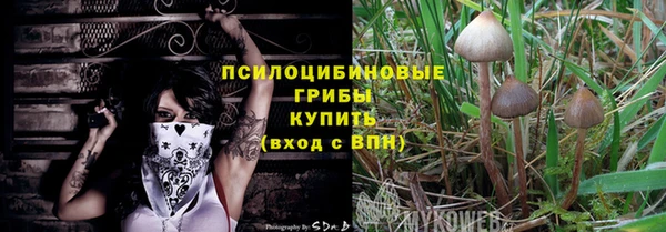 ECSTASY Армянск